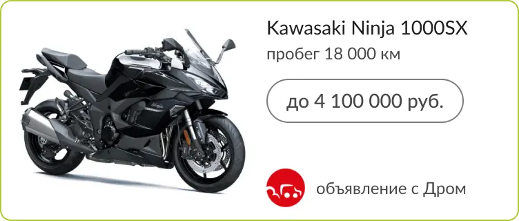 Kawasaki NINJA100SX